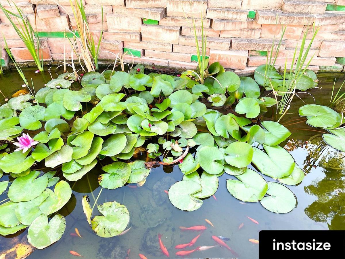 Golden Gardens Lux Apartment ฮาเวอา ภายนอก รูปภาพ